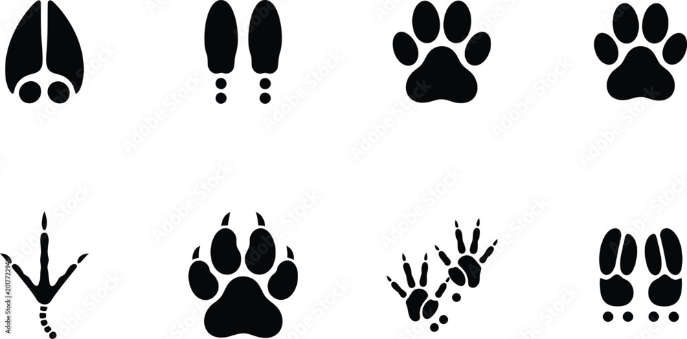 Fototapeta premium Black animal footprints and paw prints vector illustration set Vector