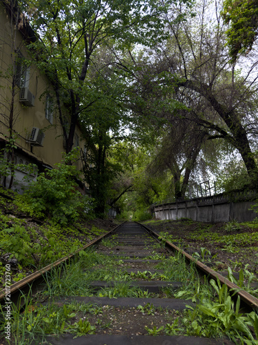 An abandoned railway line stretching into the distance amidst lush greenery and tall trees. The atmospheric natural landscape with its tracks and overgrown grass creates a sense of silence, solitude, 