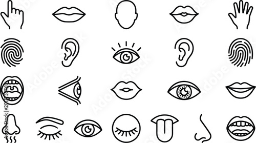 Photos Set of human body parts and five senses line icons including eyes ears nose mout