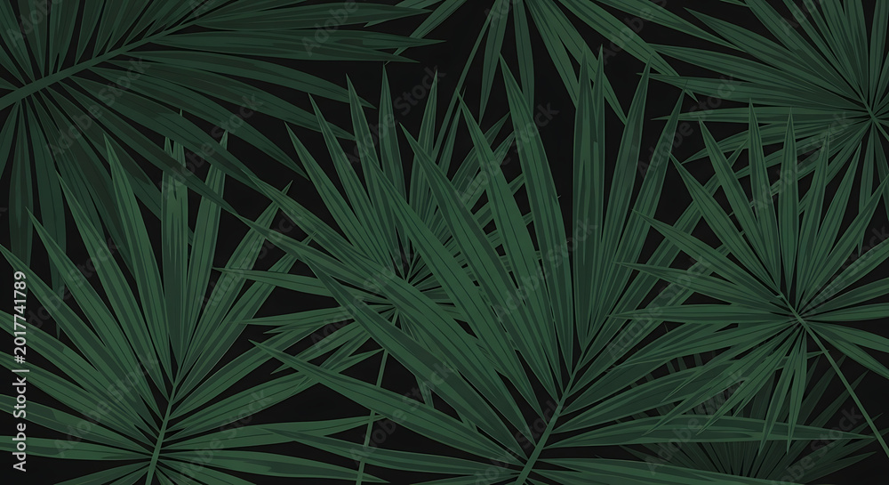 Fototapeta premium Dark green palm leaves pattern isolated on a transparent background