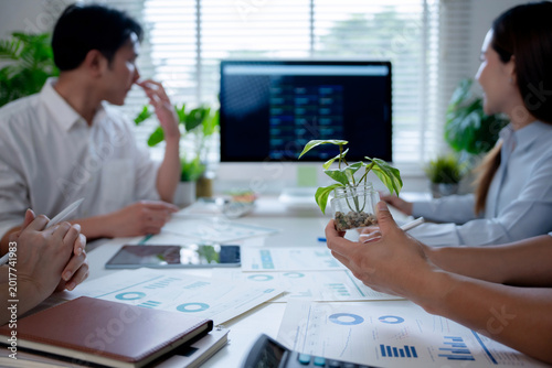 Photography Business professionals holding a plant while meeting, discussing financial repor