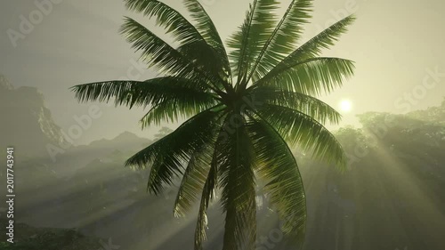 Dawn light filtering through palm fronds, dense mist hugging valley floor, rays revealing layered canopy and biodiversity, mood of renewal and nature protection