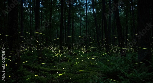 Glowing Fireflies in a Dark Summer Forest