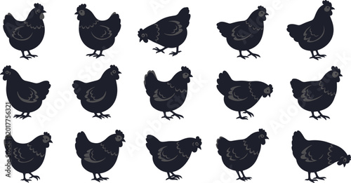 Foto Chicken silhouette vector collection featuring various hen poses including standing and pecking isolated on white background for farm animal branding and organic poultry poultry agriculture logos