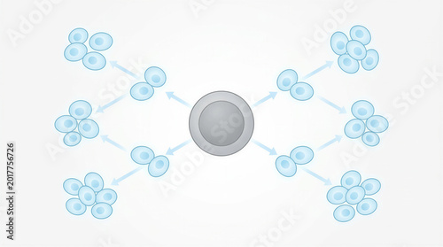 Conceptual image of stem cells differentiating into cartilage cells. 