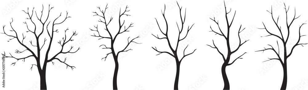 Fototapeta premium Five bare trees in a row on white background during winter season