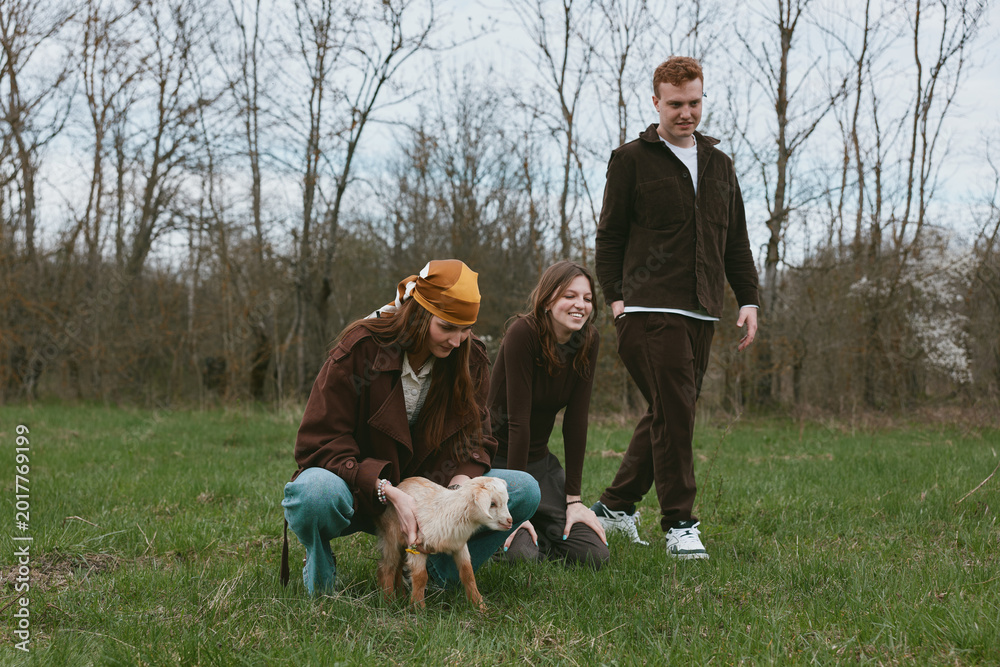 Naklejka premium Three friends enjoy outdoor time with a playful goat kid in a grassy field, capturing a casual lifestyle moment with gentle animal interaction and warm friendship.