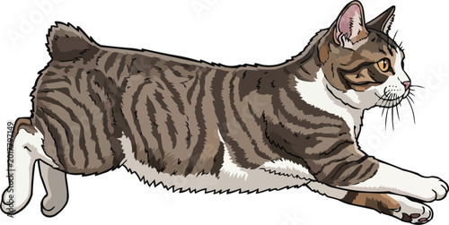 Manx Cat jumping leaping athletic action pose vector illustration