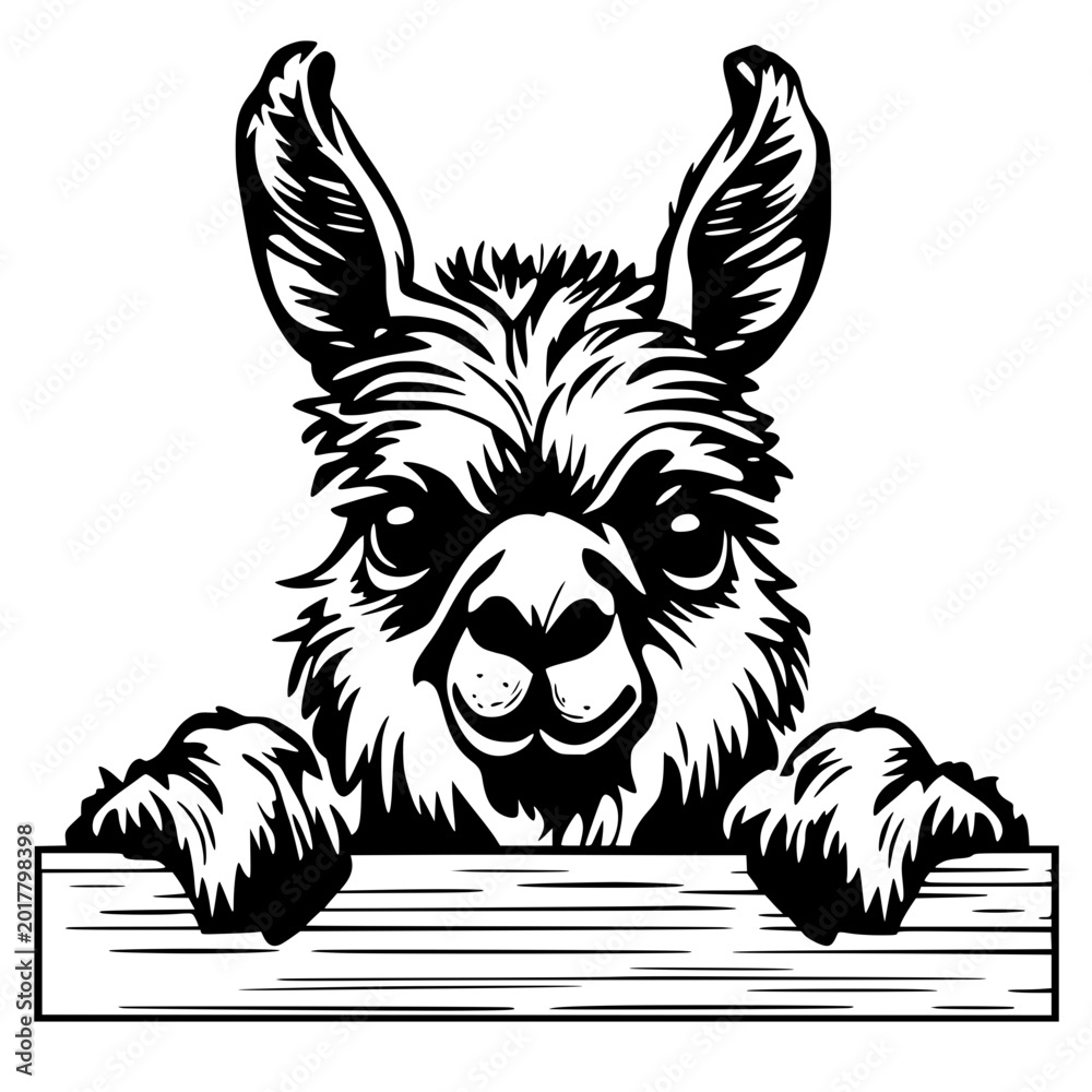 Obraz premium A charming llama with a playful expression, peering over a wooden plank. A captivating artistic interpretation, filled with personality and charisma. vector illustration