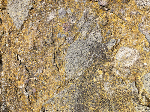 Fotografie Porous Volcanic Stone Texture