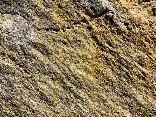 Fotografie Porous Volcanic Stone Texture