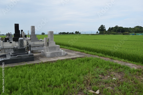 水田の中の集団墓地
