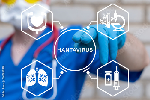 Concept of hantavirus disease health care research. Hantavirus epidemic infectious.