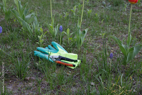 Bilde på lerret Protective gardening gloves and metal pruners lying on green grass in a spring g