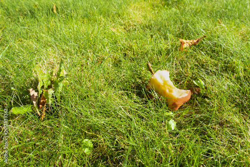 Φωτογραφία Half eaten red apple core left on a lush green lawn on a sunny day, showcasing o
