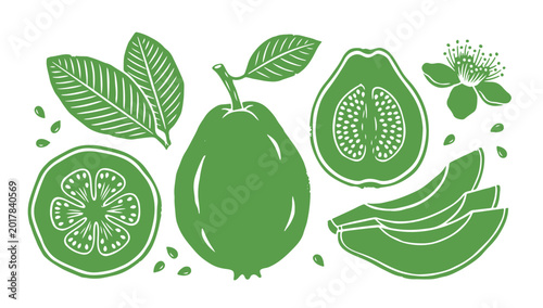 Hand Drawn Guava Fruit Vector Illustration Set in Linocut Block Print Style.
Organic Fresh Guava Whole, Sliced, and Leaves Elements for Healthy Food Packaging and Graphic Design.