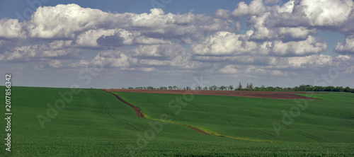 Quadro su tela A field road stretches beyond the horizon