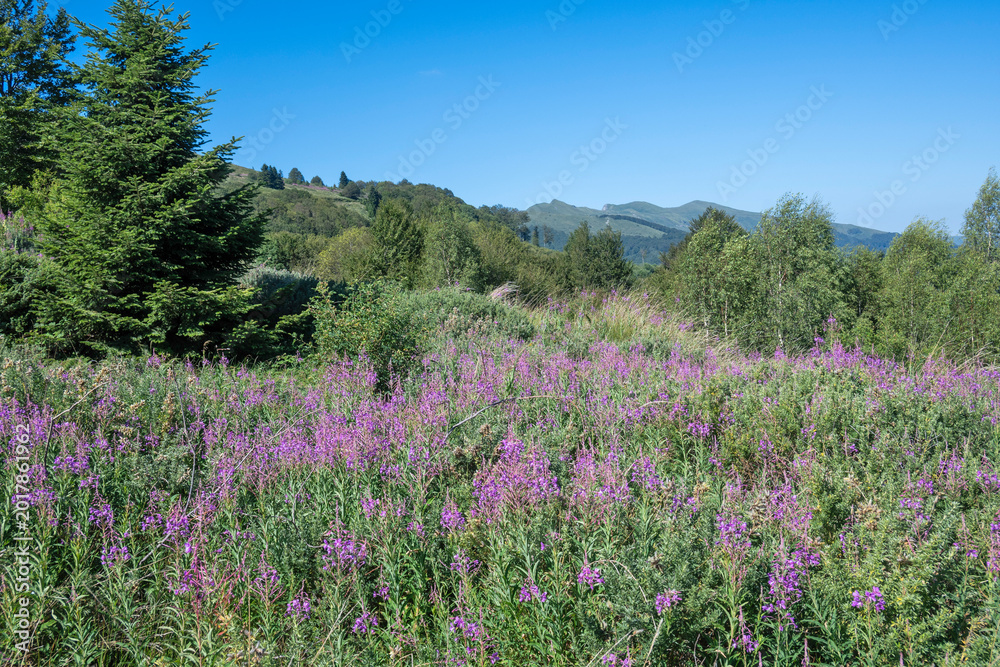 Obraz premium Belasitsa Mountain around Kongur peak, Bulgaria
