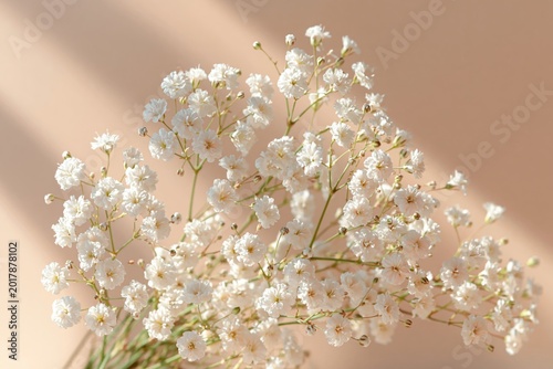 white flowers on neutral background soft shadow minimal aesthetic raw photography copy space