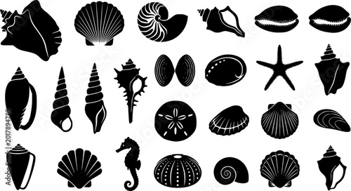 Black and white vector illustrations of various sea shells in silhouette style
