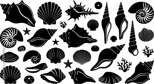 Black and white vector illustrations of various sea shells in silhouette style
