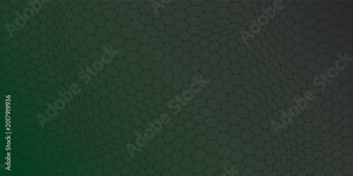 Photos Net pattern