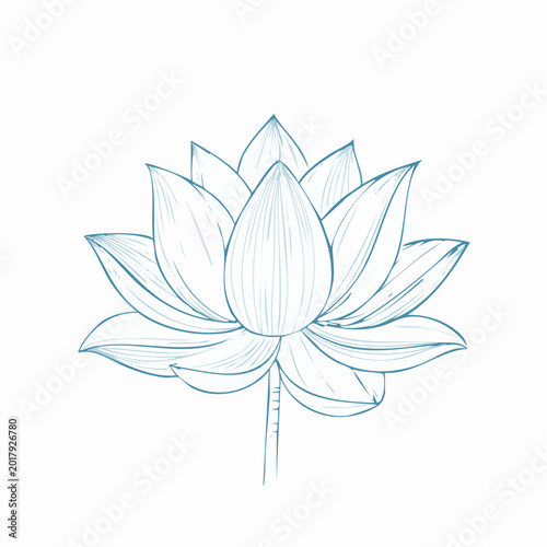 Minimalist blue line art lotus flower illustration on white background with waterlily botanical illustration meditation isolated background