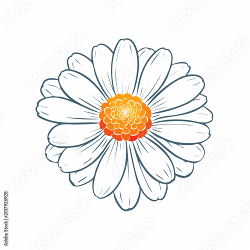 Stylized daisy flower graphic with orange center illustration botanical isolated wildflower minimalist stylized decorative creative sunflower