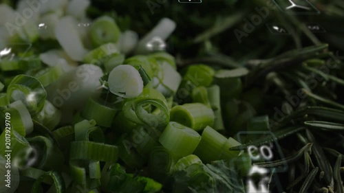 UI overlay activating, scallion pile in focus while soft power CO2 icons entering and showing eco