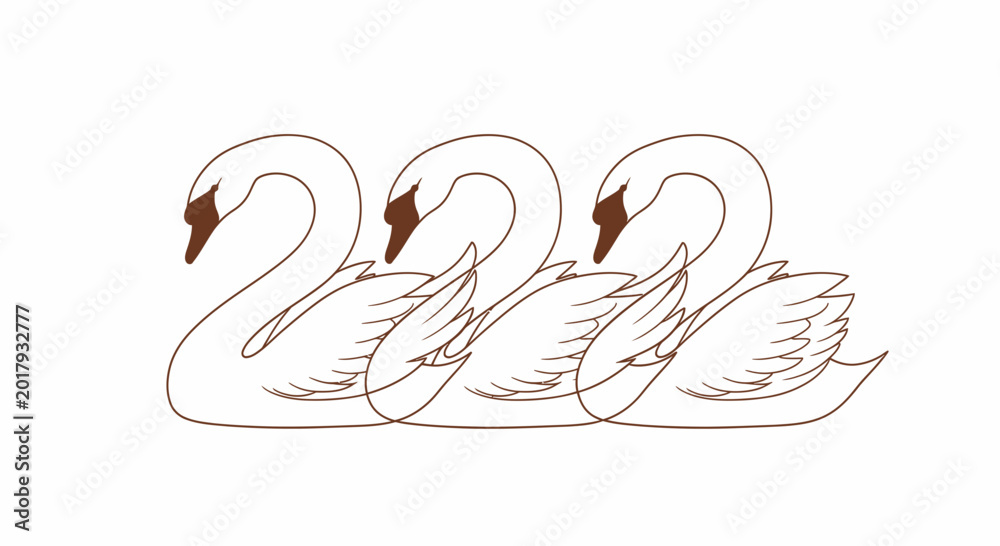 Fototapeta premium Three elegant swans swimming in a line, minimal outline drawing, white background