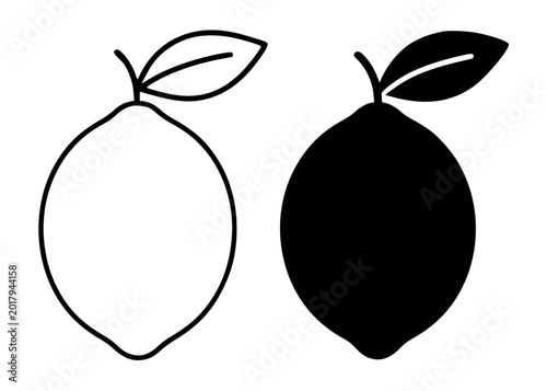 Fotografía Lemon minimalist illustration, outline and silhouette icons