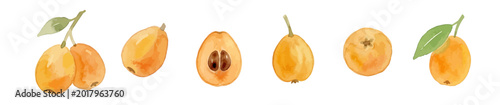 Fotografija Watercolor-style fresh loquat fruit illustration, Japanese Biwa with soft orange