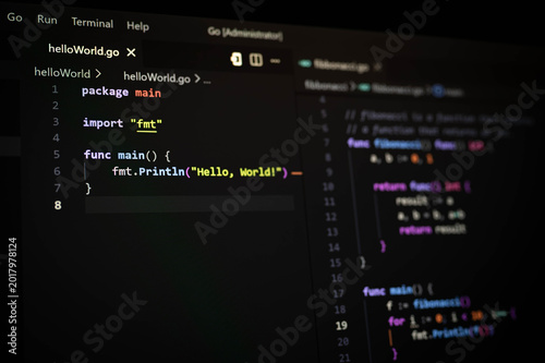 Close up of Go programming language source code displayed on dark screen with example in code editor. Software development, backend engineering, coding technology and developer workspace concept.