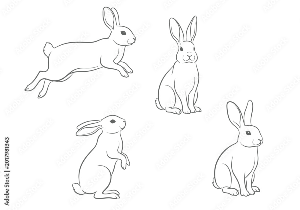 Obraz premium Set of four rabbits in different poses including jumping sitting and standing