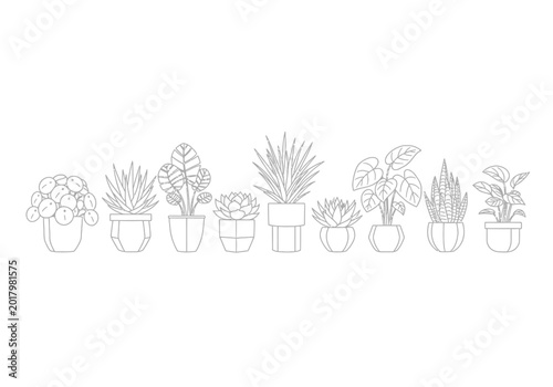 Foto Set of various indoor potted house plants in simple minimalist line art style