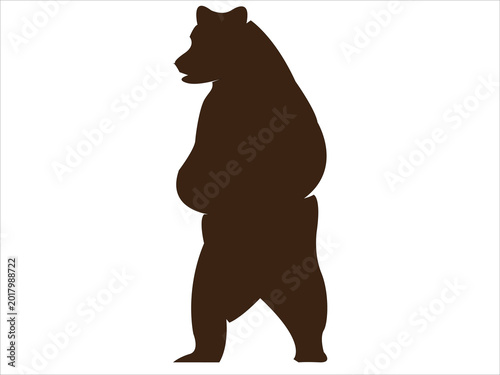 bear imge logo