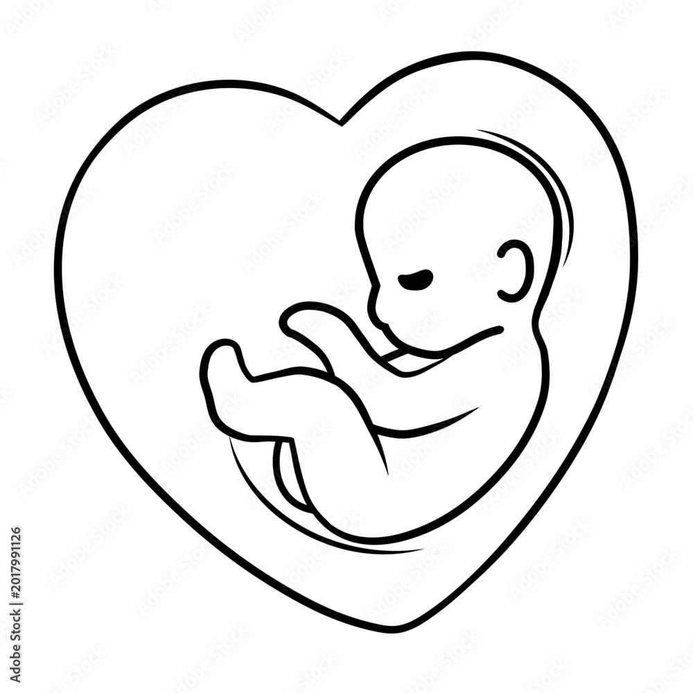 Fototapeta premium A simple line art illustration of a fetus nestled within a heart shape. Perfect for themes related to pregnancy, family, healthcare, and new beginnings.