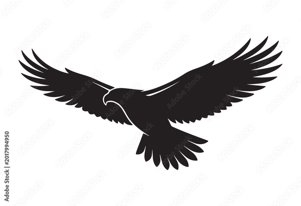 Fototapeta premium Eagle in flight silhouette. Flying eagle silhouette.