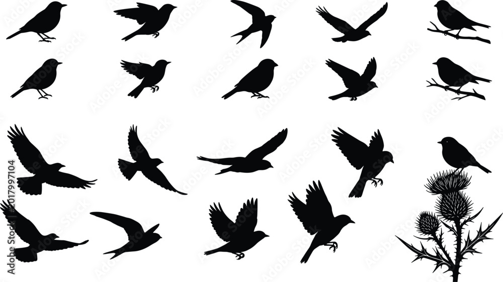Fototapeta premium Bird silhouette collection with flying perching and landing poses including sparrow crow and thistle plant vector illustration set