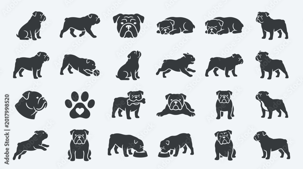 Fototapeta premium Set of bulldog silhouettes and icons for pet design.