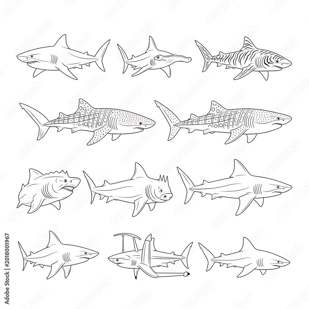 Obraz premium Various shark drawings in different poses.