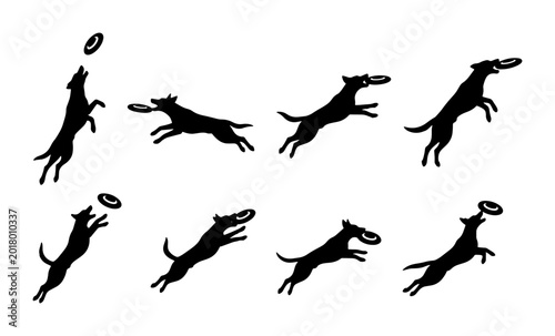 Schilderij op canvas Dog Catching Frisbee Sequence, Silhouette Animation Frames, Pet Play Action, Out