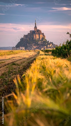 Mont Saint-Michel castle on hill.