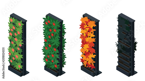 Sustainable Urban Farming Isometric Vertical Garden Illustrations with Seasonal Plant Stages, Featuring Green Foliage, Ripe Berries, Autumn Leaves, and Dried Plants for Eco-Design Projects
