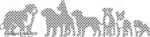 Bild auf Leinwand Dog breed evolution vector illustration