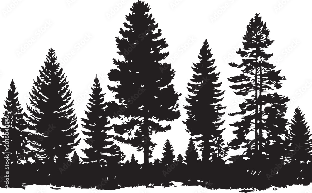 Fototapeta premium Black Forest Tree Landscape with Grass on white background