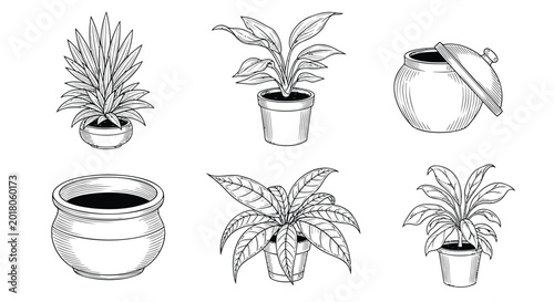 Plant pots, potted plants, vector illustrations, black and white, line art, gardening set, 6 elements
