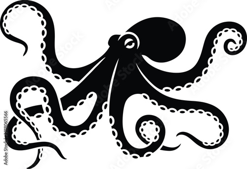 Photos Black octopus with white suction cups