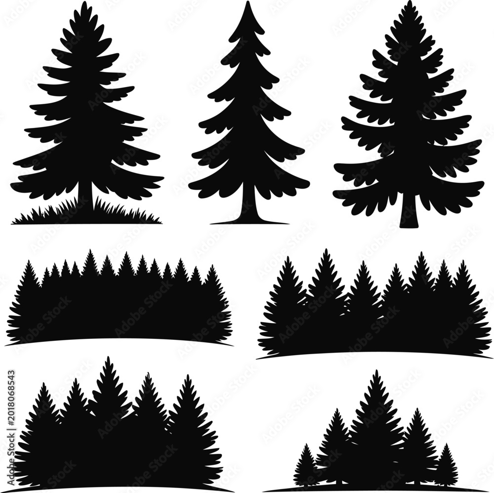 Obraz premium Black silhouette pine trees forest landscape fir tree