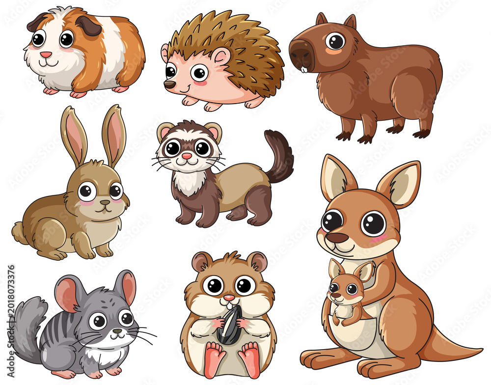 Fototapeta premium Vector illustration of various small mammals and a kangaroo on a plain white background